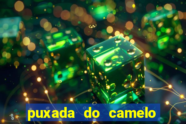 puxada do camelo jogo do bicho